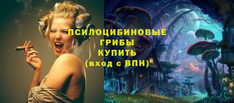 Галлюциногенные грибы Psilocybe  Беломорск 